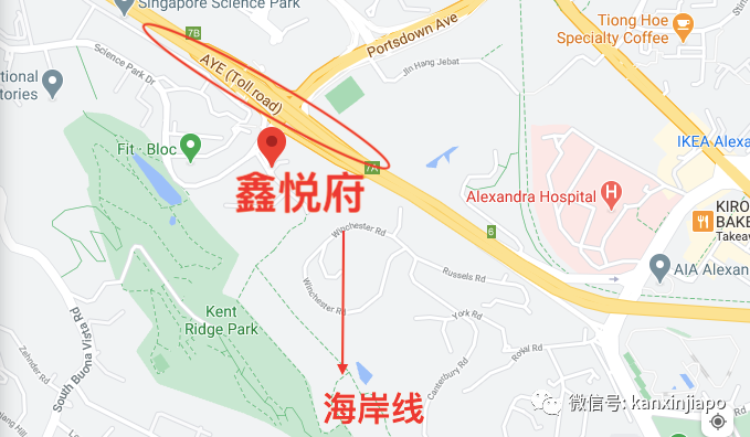 2021新加坡楼市第一大盘，600多户买家独特现象有什么“财富密码”