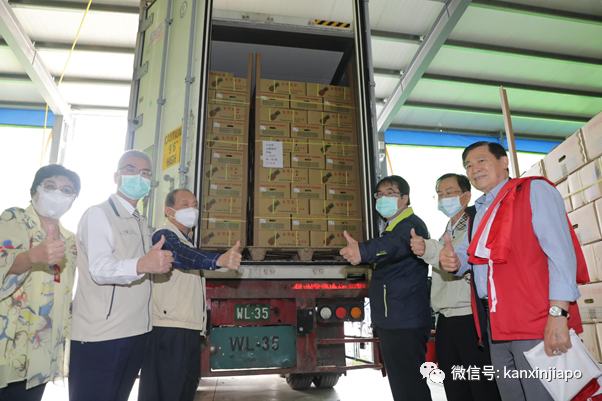46000噸台灣鳳梨被中國大陸拒之門外！其中25噸下周運抵新加坡