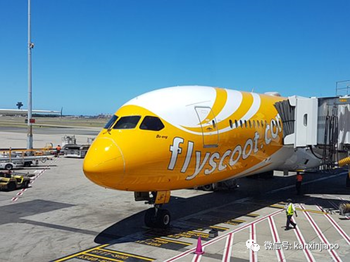 酷航起飛前收到炸彈威脅電郵!全機緊急地毯式搜查