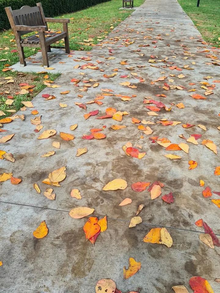 三月的新加坡，已是秋意满满……