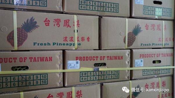 46000噸台灣鳳梨被中國大陸拒之門外！其中25噸下周運抵新加坡