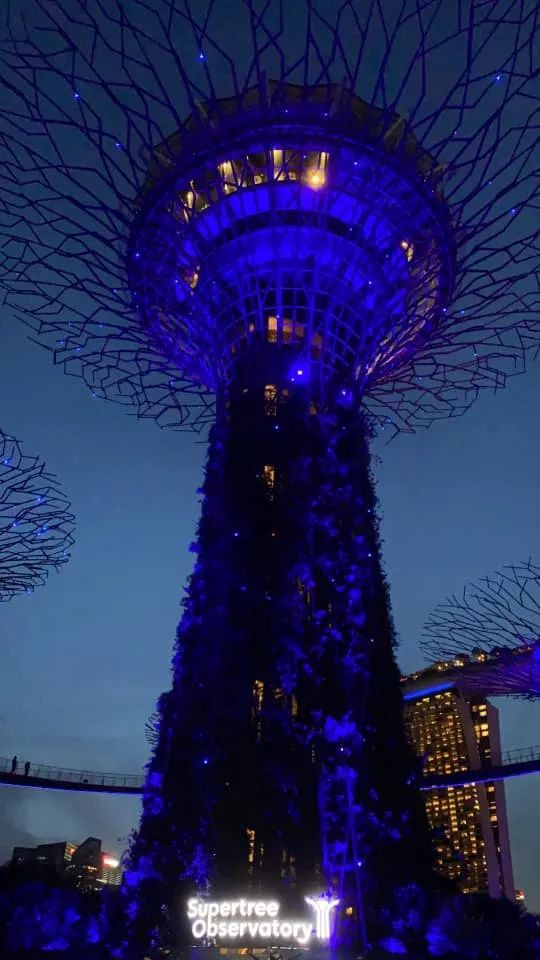 新加坡43座著名建築物和地標亮起夢幻燈光,你們拍到了嗎?