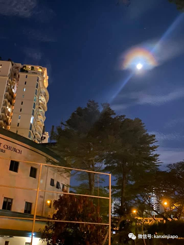梦幻月晕！新加坡昨晚出现“吸血鬼”月亮