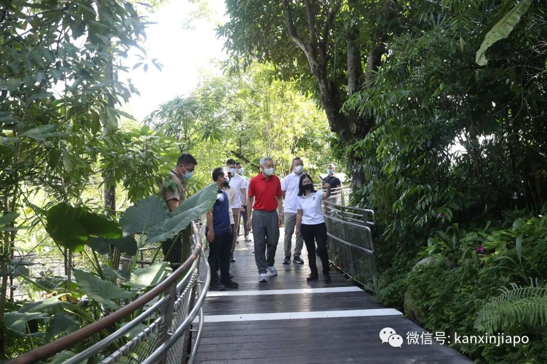 冰淇淋乐园、刺激过山车，新加坡4新景点年底开幕