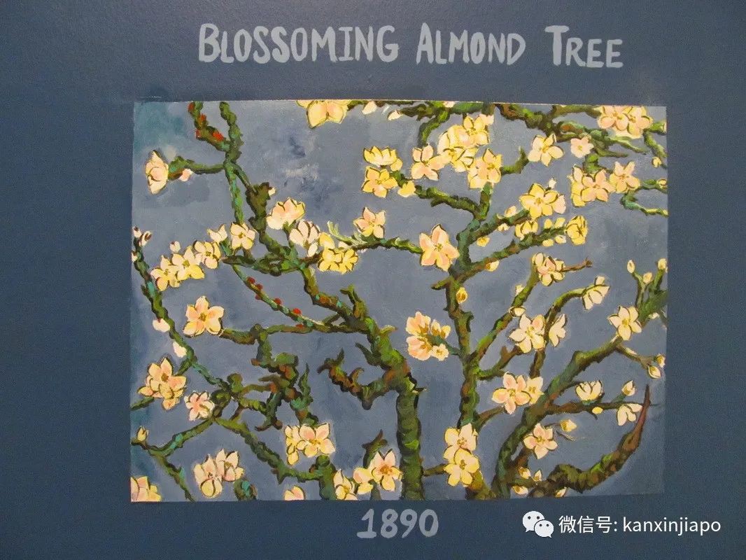 新加坡最美鄰裏!組屋樓下居然成了梵高畫廊……