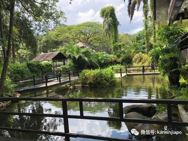 再见！新加坡“最美麦当劳”走过32年历史，宣布年底结业