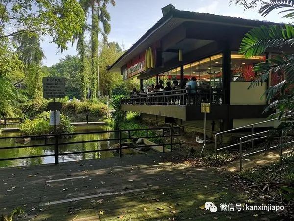 再见！新加坡“最美麦当劳”走过32年历史，宣布年底结业