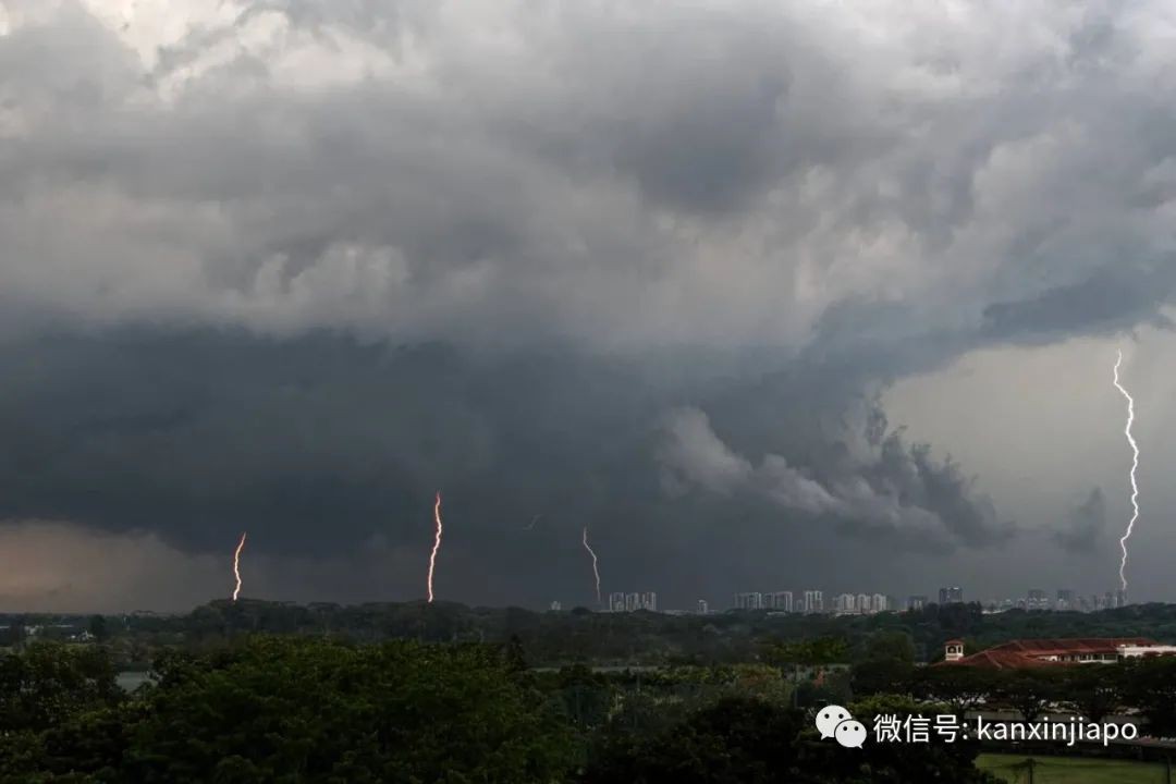 狂风暴雨的长周末,新加坡上演了一场持续3天的闪电秀