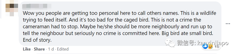 籠內的寵物小鳥遭犀鳥襲擊!被一口吃掉