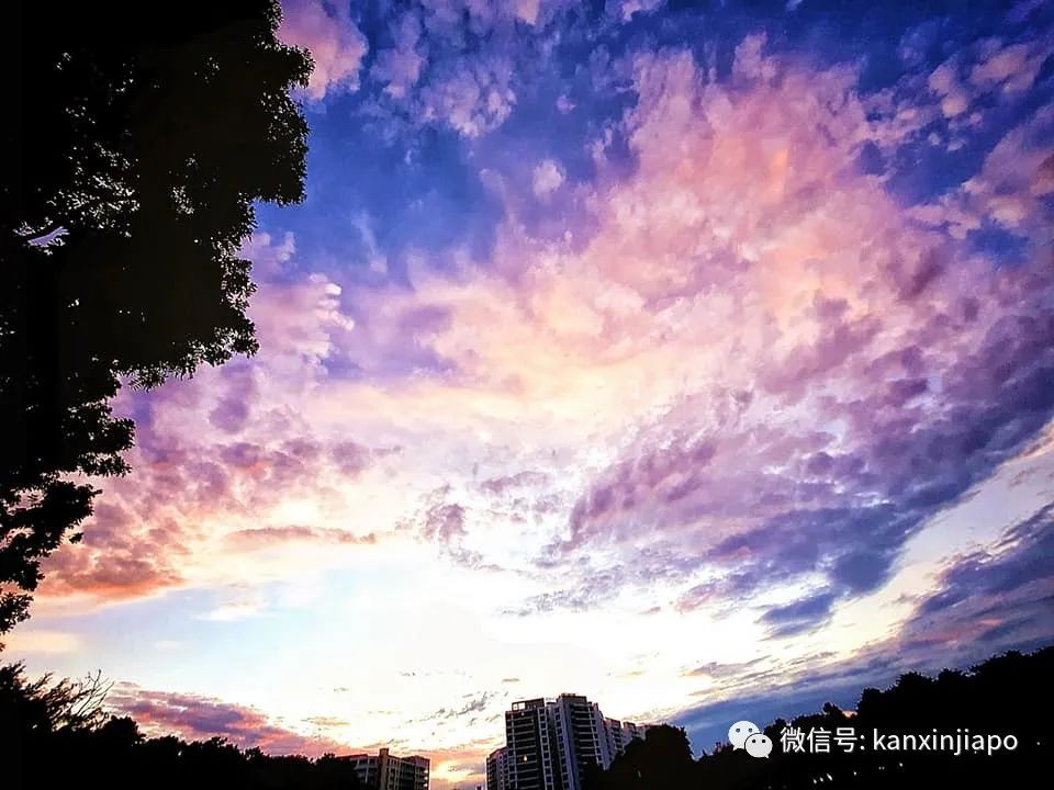 新加坡清晨出现粉紫色“神仙”天空！大波美图惊艳全岛~