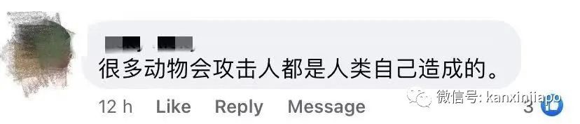 14只水獺在新加坡植物園被小孩們“追殺”,父母竟也加入戰局