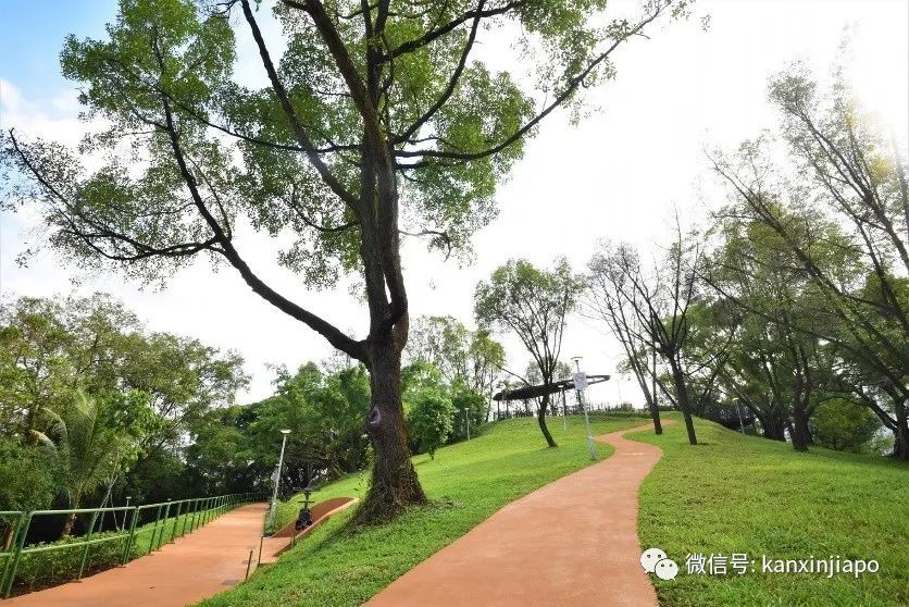 新加坡有新邻里公园！刺激旋转滑梯，超好玩~