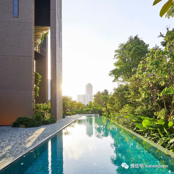 他與他,花近3億新幣,買下新加坡烏節路整棟20層公寓