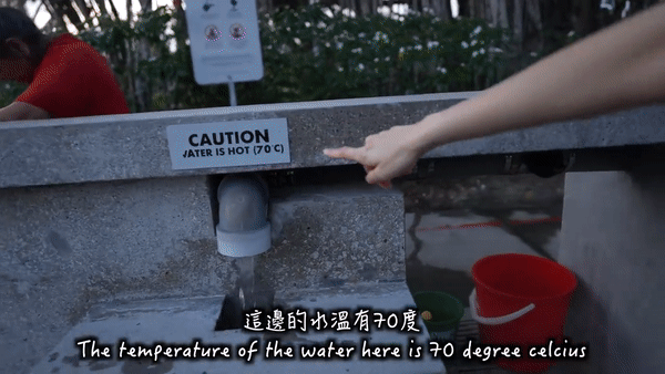 台灣女子用三巴旺溫泉水煮雞翅、泡雞蛋、加熱雞肉煲仔飯