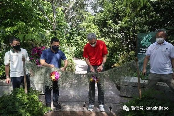 冰淇淋乐园、刺激过山车，新加坡4新景点年底开幕