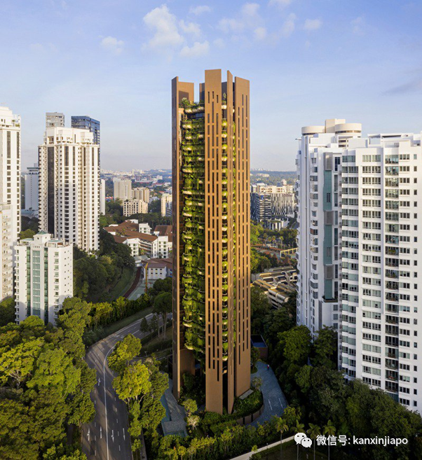 他与他，花近3亿新币，买下新加坡乌节路整栋20层公寓
