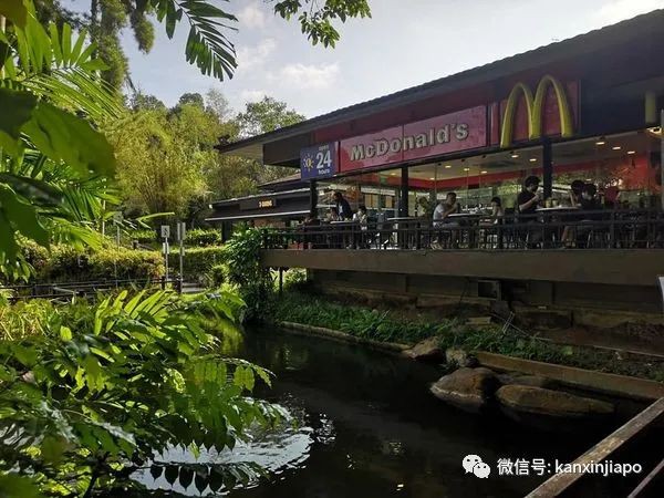 再见！新加坡“最美麦当劳”走过32年历史，宣布年底结业