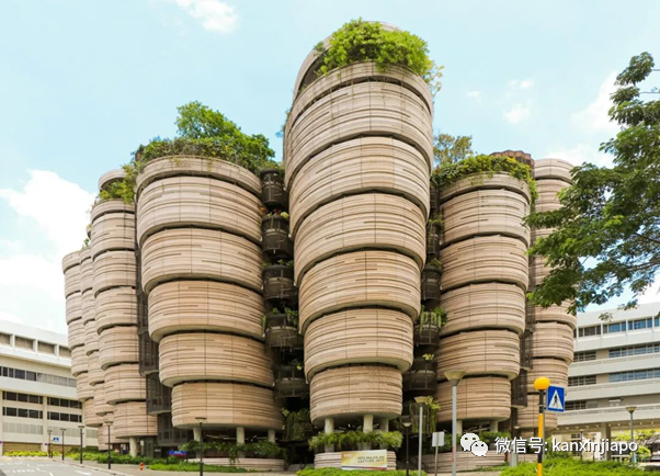 他與他,花近3億新幣,買下新加坡烏節路整棟20層公寓