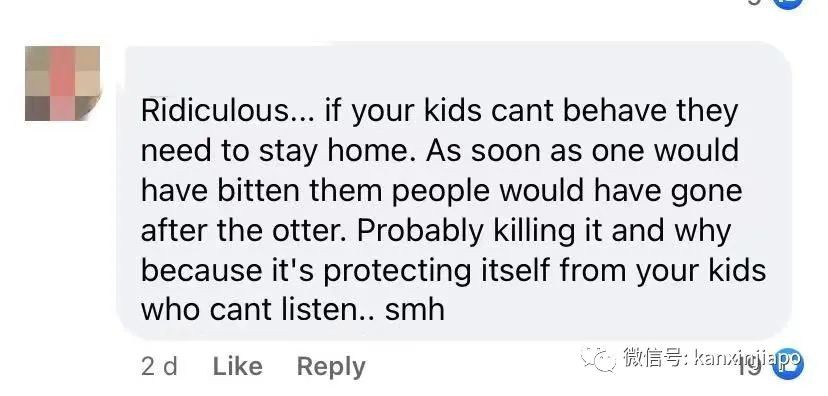 14只水獺在新加坡植物園被小孩們“追殺”,父母竟也加入戰局