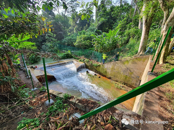 新加坡網紅“瀑布”裝上圍欄，自然公園不再“自然”