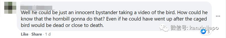 籠內的寵物小鳥遭犀鳥襲擊!被一口吃掉