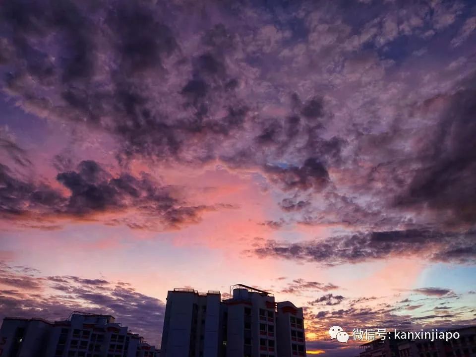 新加坡清晨出现粉紫色“神仙”天空！大波美图惊艳全岛~