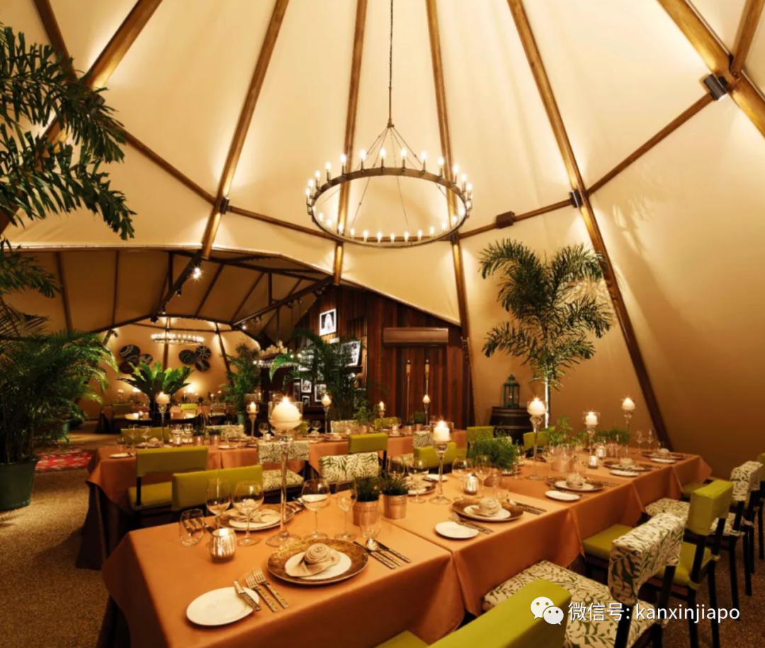 新加坡夜间野生动物园，现在可以搭帐篷吃晚餐了！