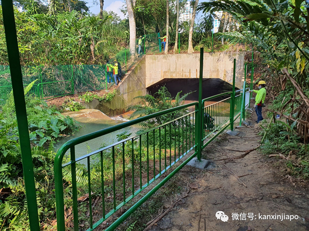 新加坡网红“瀑布”装上围栏，自然公园不再“自然”