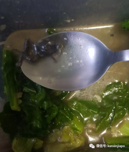 恶心！外卖芥兰菜内惊见小青蛙，夫妻吃后上吐下泻