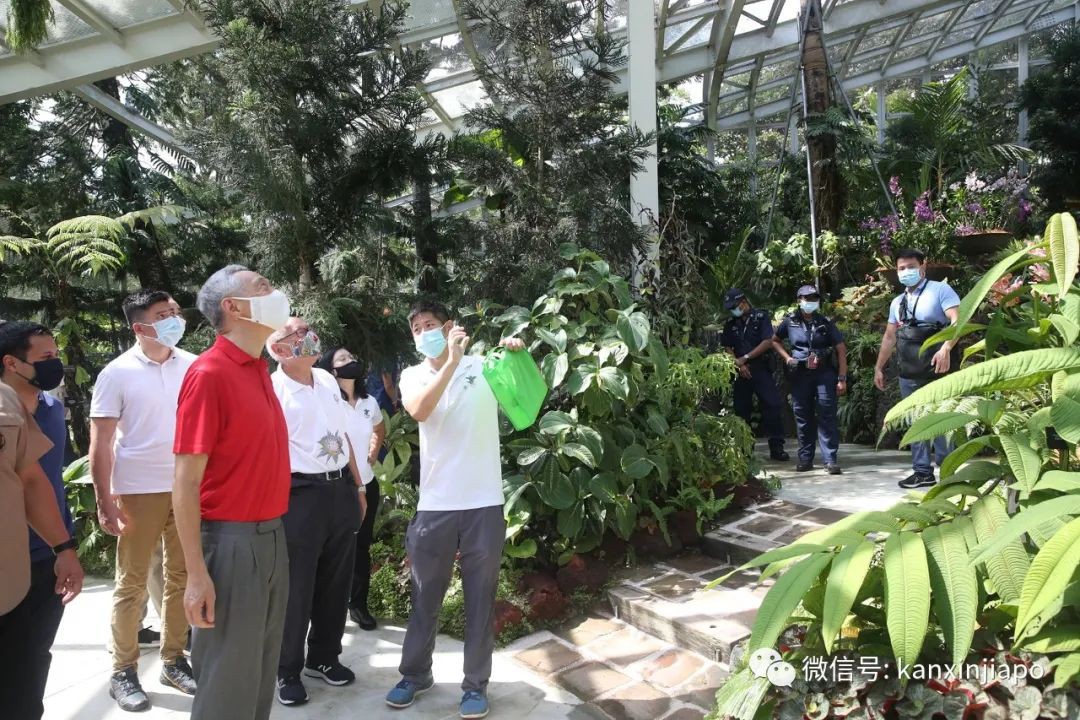 冰淇淋乐园、刺激过山车，新加坡4新景点年底开幕