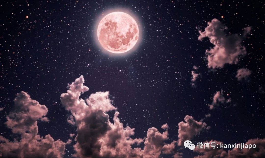 超梦幻！新加坡明天迎来罕见的“粉红月亮”