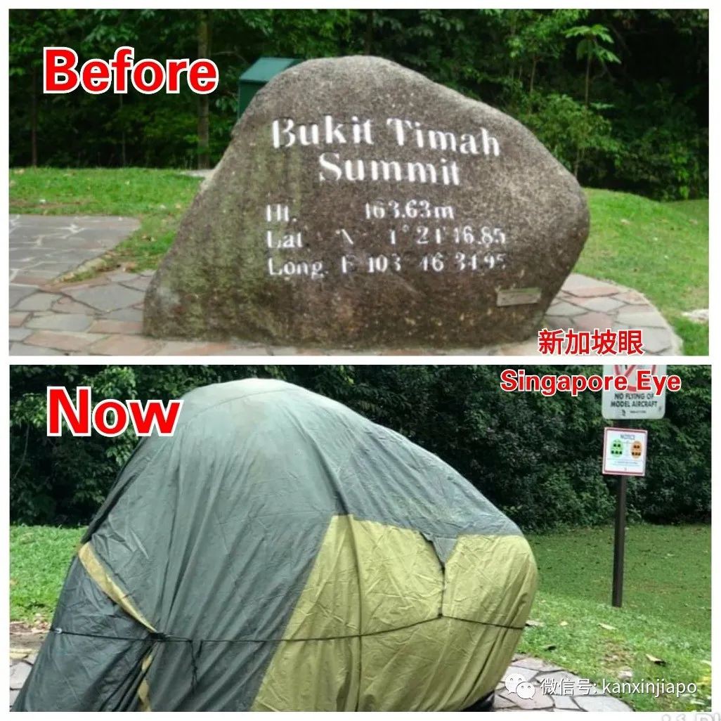 新加坡高警戒狀態,德士大叔無奈“躲”後備箱吃午餐