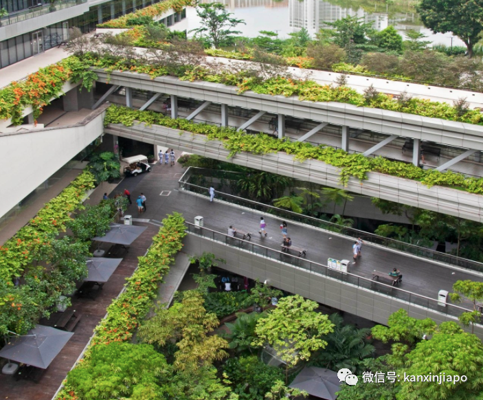 180份乳腺癌報告全錯,新加坡醫院5名職員遭到處分