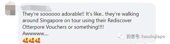 18只水獺豪遊新加坡私宅區,門外與和狗狗“閑話家常”