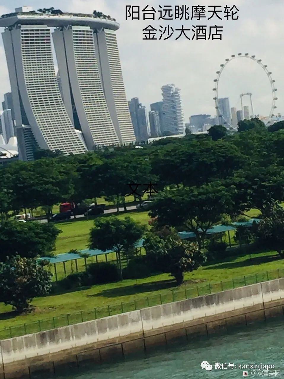 “上千人登遊輪不是兒戲，新加坡碼頭如臨大敵”