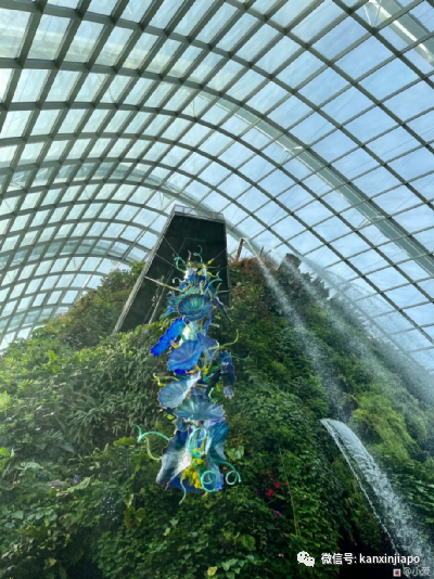 巨型玻璃雕塑“攻占”新加坡濱海灣