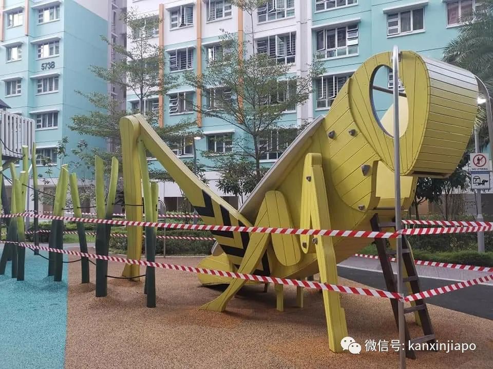 新加坡高警戒狀態,德士大叔無奈“躲”後備箱吃午餐