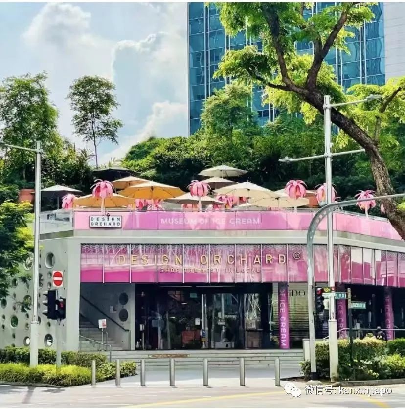 【下周活動】植物園免費母親節演出，樟宜機場30多家餐廳買一送一！