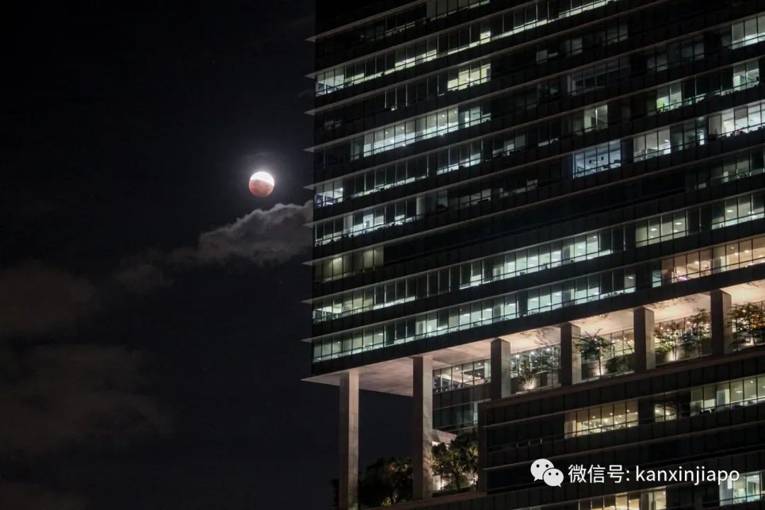 “超级血月”现身新加坡夜空，高清大图请查收～