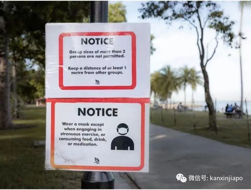 新加坡高警戒狀態,德士大叔無奈“躲”後備箱吃午餐