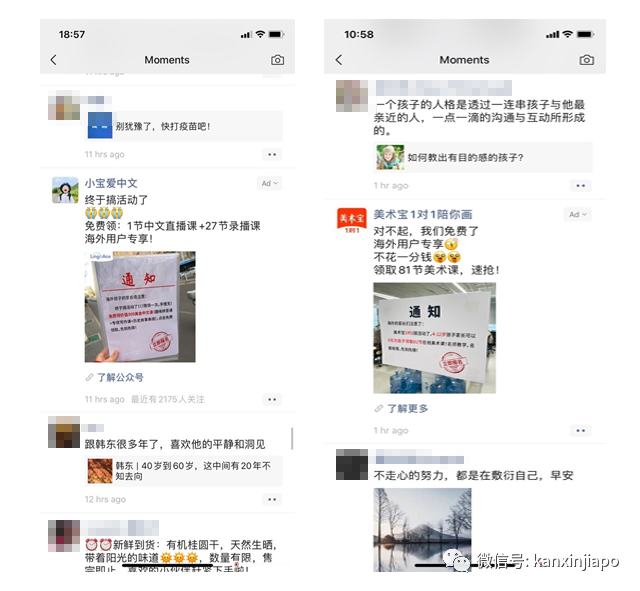 人在新加坡，朋友圈也逃不掉铺天盖地的网课广告