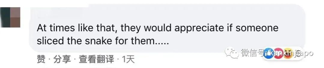 新加坡公园惊现三只大蜥蜴撕咬蟒蛇！“这是侏罗纪公园吧？”