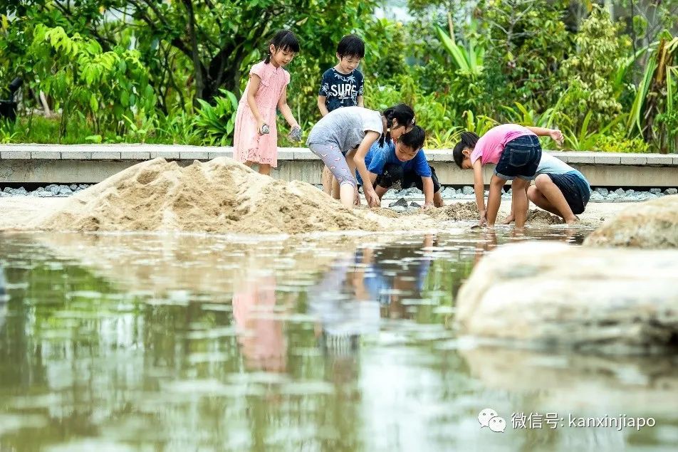 新加坡6个公园关闭水上娱乐设施至本月底