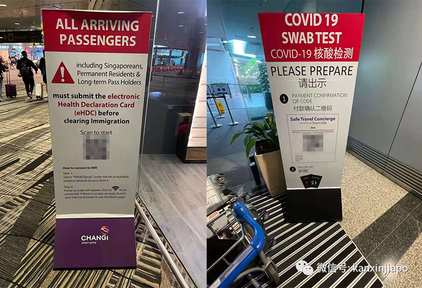 深圳飛新加坡最新實況!這些登機流程、隔離事項須注意