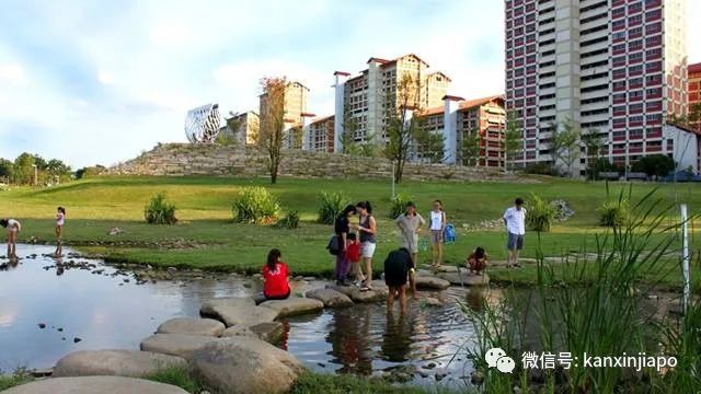 新加坡6个公园关闭水上娱乐设施至本月底