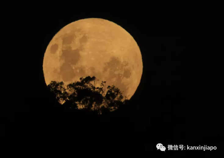 “超級血月”現身新加坡夜空，高清大圖請查收～