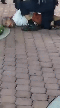 新加坡60歲阿叔拒戴口罩,狂喊救命被警方逮捕