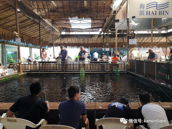 群聚、喝酒、狂欢！新加坡14家餐饮场所和74人被罚