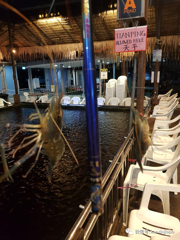 群聚、喝酒、狂歡!新加坡14家餐飲場所和74人被罰