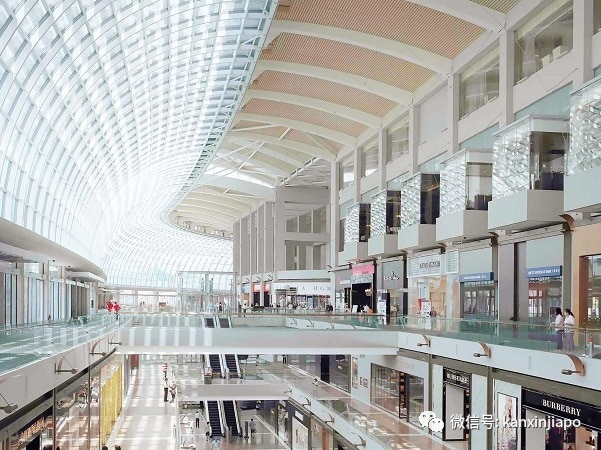 新發病例曾多次到過小印度、新加坡理工學院及全島購物商場